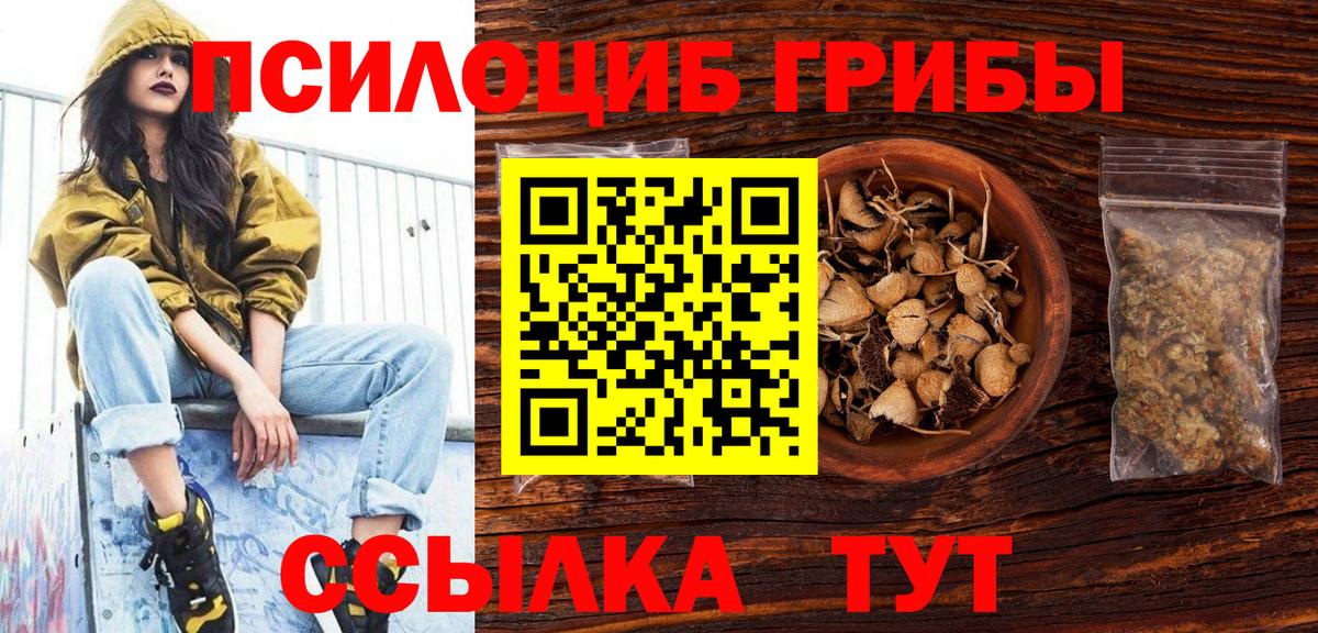 Псилоцибиновые грибы Cubensis Сухой Лог