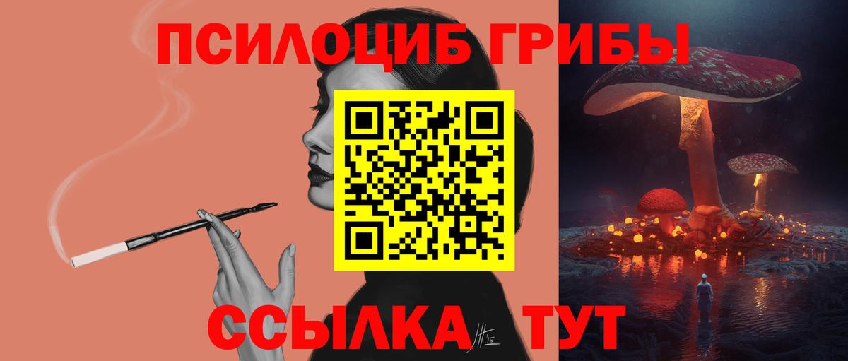 Псилоцибиновые грибы мицелий  цены наркотик  Сухой Лог  Вход с VPN 